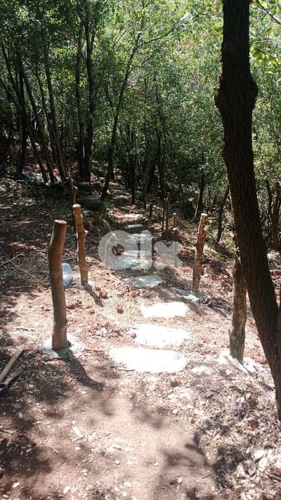 land for sale in bteghrine أرض للبيع في بتغرين