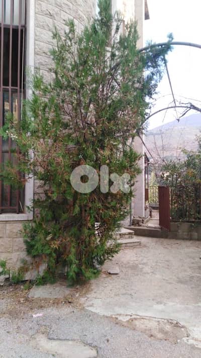 chalet for sale in faraya شاليه للبيع في فاريا