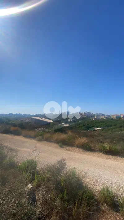 Land for sale in Deddeh Koura - أرض للبيع في دده - الكورة