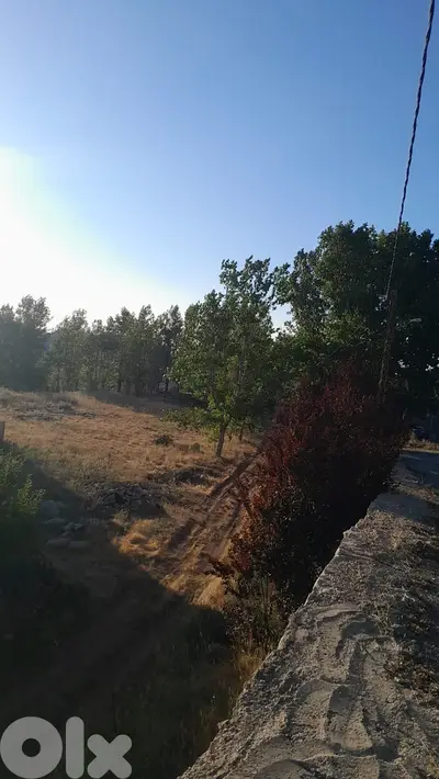 GMB133K - Land for sale in Laklouk - أرض للبيع في اللقلوق