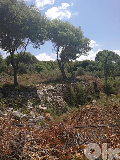 A 1200 m2 land for sale in Batroun - أرض للبيع في البترون