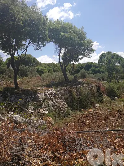 A 1200 m2 land for sale in Batroun - أرض للبيع في البترون