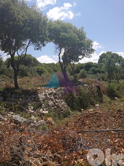 A 1200 m2 land for sale in Batroun - أرض للبيع في البترون