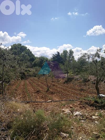 A 1200 m2 land for sale in Batroun - أرض للبيع في البترون