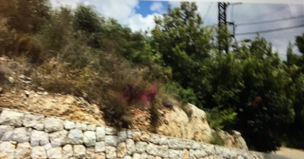 Land for sale in Wadi Chahrour El Suflah 1