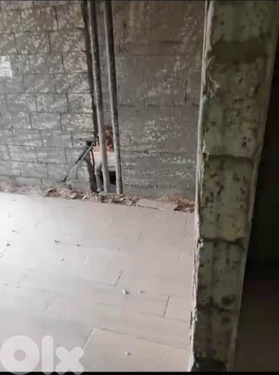 Apartment for sale in Dahyeh شقة للبيع في ضاحية