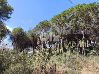 Land for Sale | Calm Surrounding | Ainab