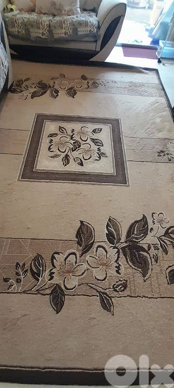 carpet living room 0