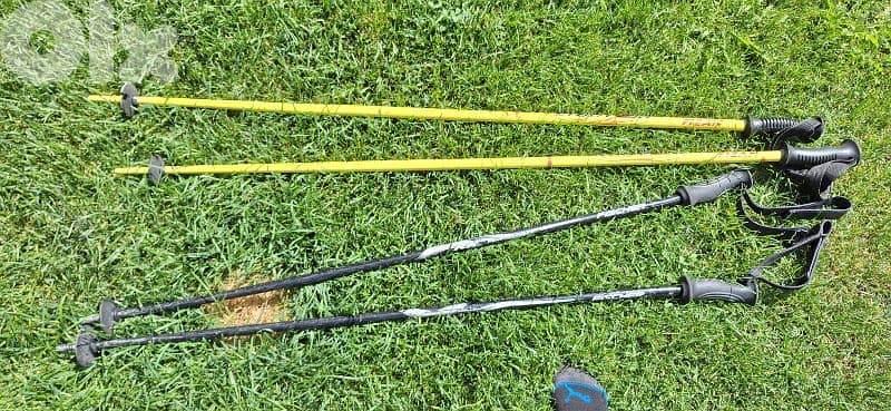 pair of 2 ski poles  Fizan and vector kerma 0