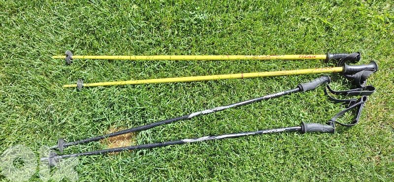 pair of 2 ski poles  Fizan and vector kerma 1