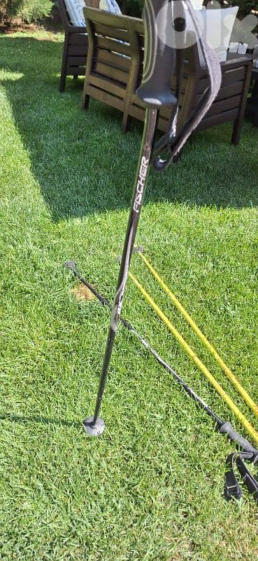 pair of 2 ski poles  Fizan and vector kerma 2