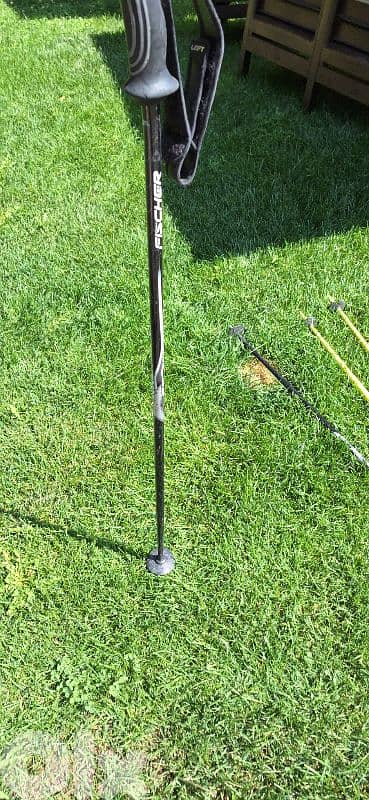 pair of 2 ski poles  Fizan and vector kerma 3