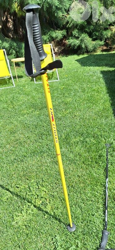 pair of 2 ski poles  Fizan and vector kerma 4