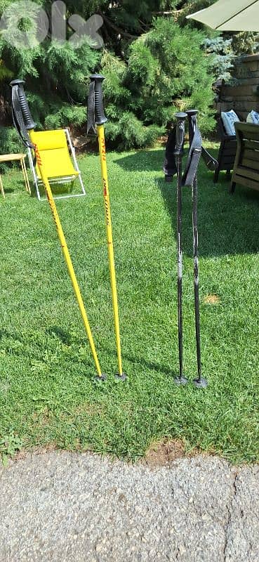 pair of 2 ski poles  Fizan and vector kerma 6
