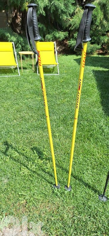 pair of 2 ski poles  Fizan and vector kerma 7