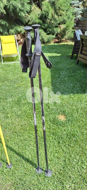pair of 2 ski poles  Fizan and vector kerma 8