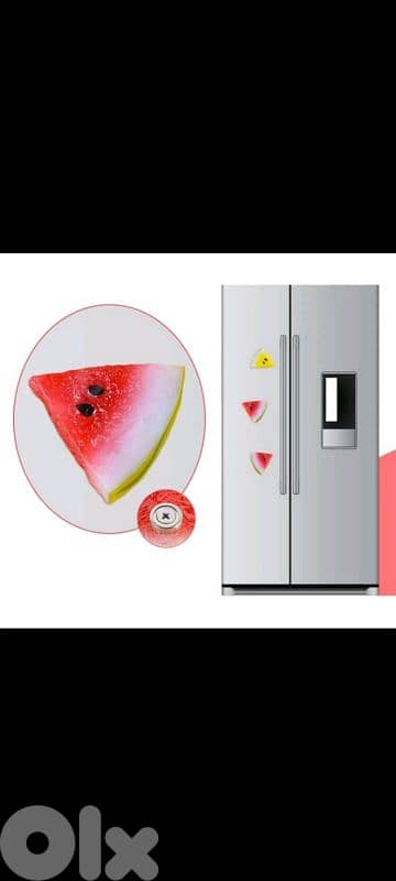 beautiful fridge magnets 1