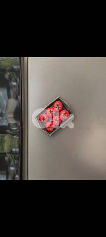 beautiful fridge magnets 10