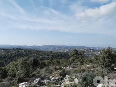 A 2500 m2 land for sale in Batroun - أرض للبيع في البترون
