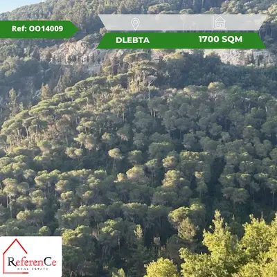 Undermarket price lands in Delbta أرض للبيع في دلبتا
