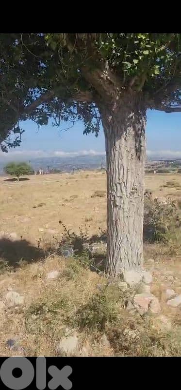 land for sale in bekich faqra أرض للبيع في باكيش فقرا