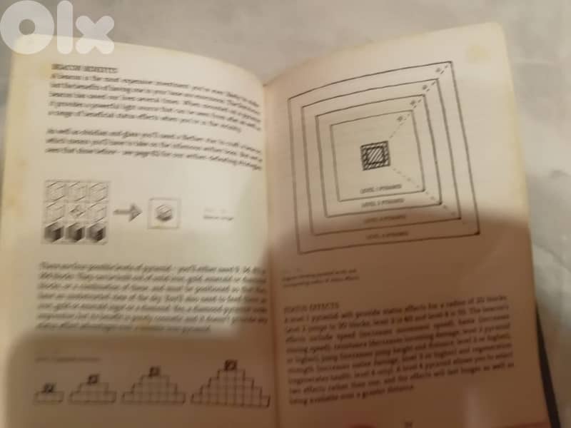 Minecraft: The Survivors' Book of Secrets: An Official Minecraft Book 1