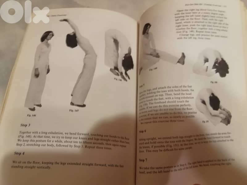 The Book of DO-IN: Exercise for Physical and Spiritual Development (19 1
