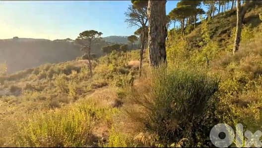 Land for sale in Douar/ Panoramic view