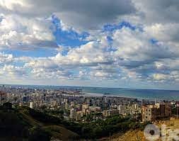 350$/SQ LAND IN AIN SAADEH VILLA ZONING 20/40 3000SQ