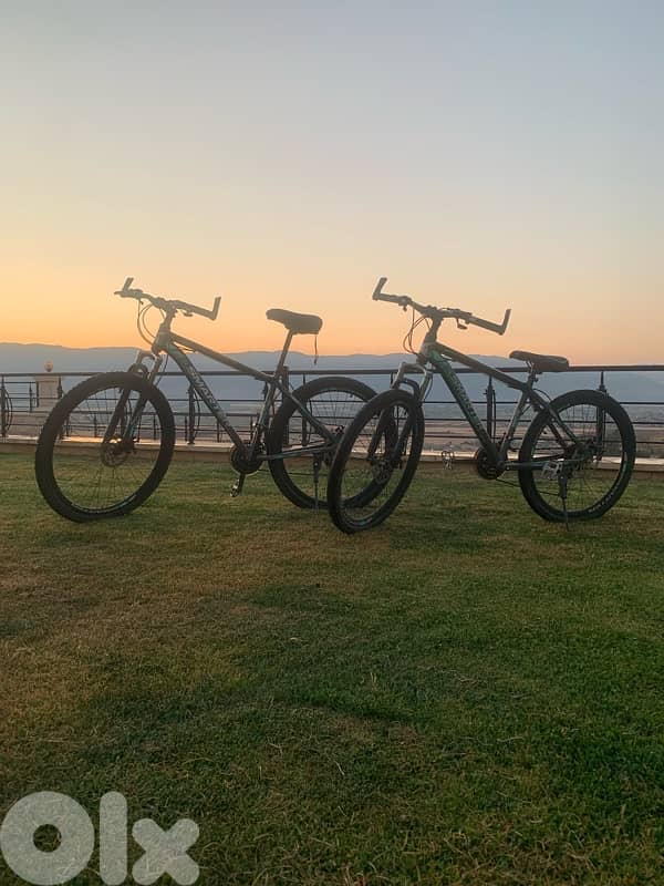 Mountain bicycles 2x250$ 0