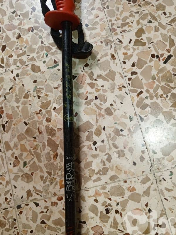 ski poles 1