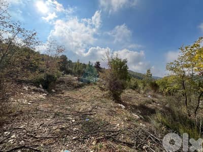 4540m2 Land+mountain view 4sale in Mechmech/Jbeil - أرض للبيع في مشمش