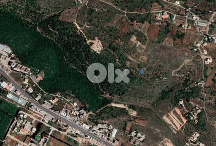 Land in Zefta/Kfaroue facing highway