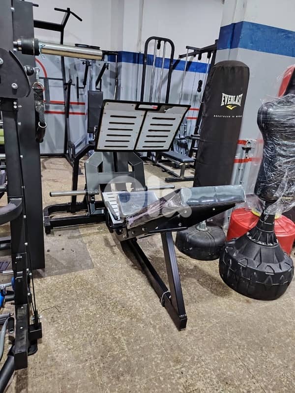 leg press new copy A 2