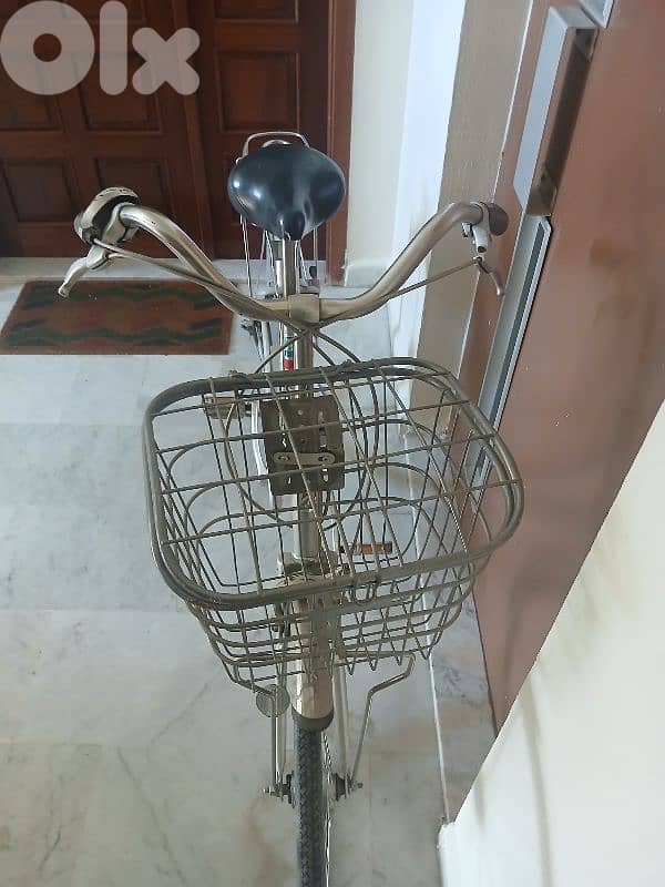 vintage  bicycle 1