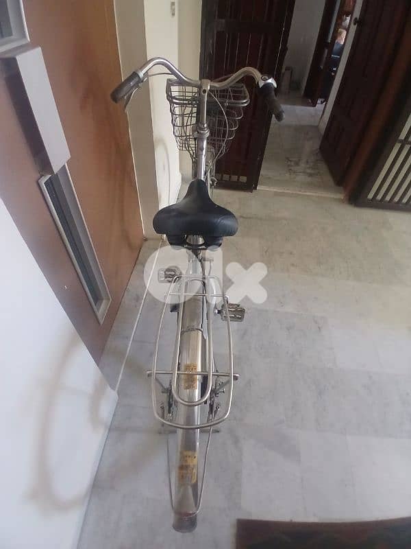 vintage  bicycle 2