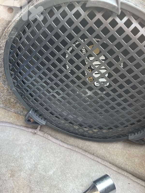 Critical Mass 10” subwoofer, 1000 watts per speaker. 0