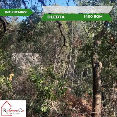 Land for sale in Dlebta أرض للبيع في دلبتا