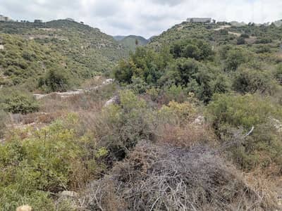 Residential land for sale in Berbara, jbeil_أرض للبيع في البربارة جبيل