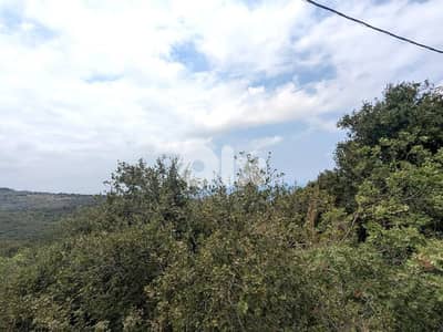 Residential land for sale in Berbara,  jbeil_  أرض للبيع في البربارة