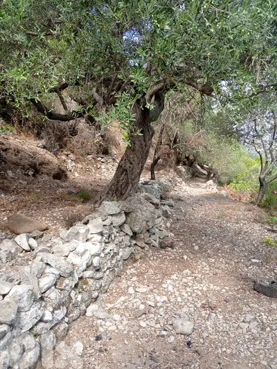 Land for sale in Jrabta-Batroun أرض للبيع في جربتا-البترون