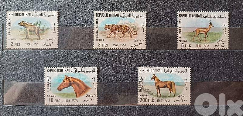 سات عراقي 0