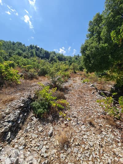 RWB269CA - Land for sale in Lehfed Jbeil