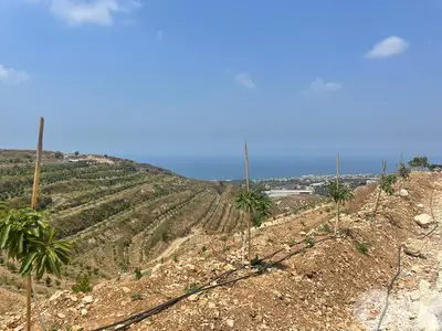 RWB173PK - Land for sale in Edde Jbeil