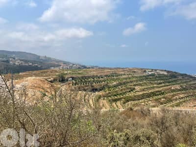 RWB173PK - Land for sale in Edde Jbeil
