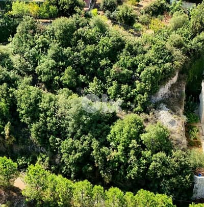 RWB400EA - Land for sale in Halat Jbeil