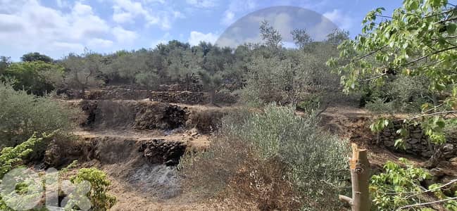 Mini Villa for Sale in Baasir - Chouf / بعاصير - الشوف ! REF#DI124007