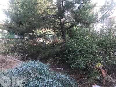 Old House with Land for Sale – Dhour El Choueir