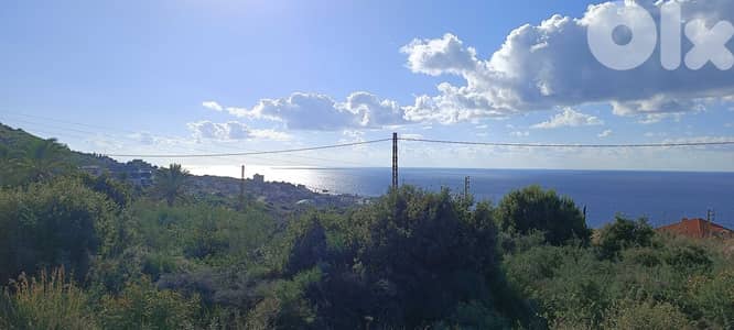 Land For Sale In Berbara | Unblockable View | أرض للبيع | PLS 25887
