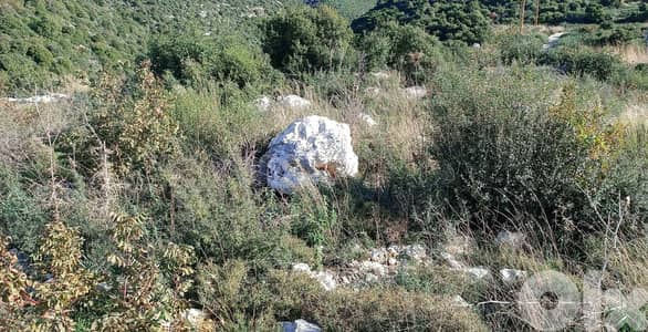 Land For Sale In Berbara | Unblockable View | أرض للبيع | PLS 25887